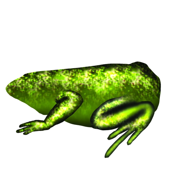 Creation of Tiny frog: Step 4