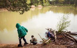 Looking for tadpoles