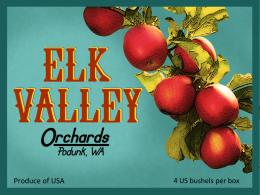 Elk Valley Apples