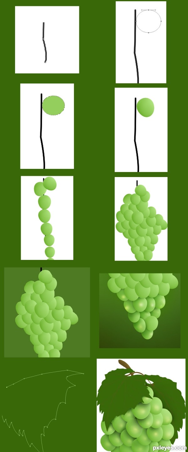 Creation of Grapes: Step 1