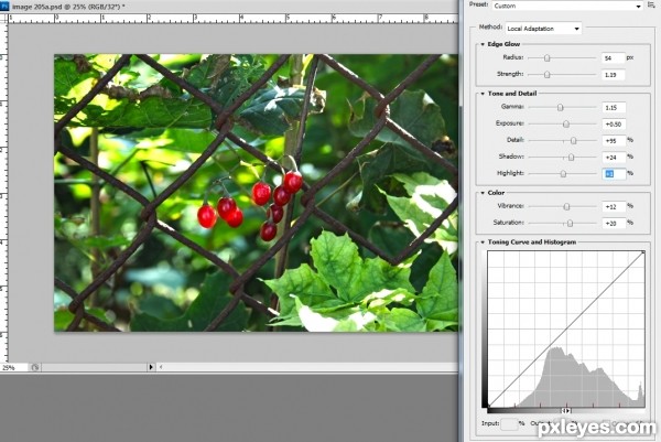 Creation of Berries through the fence: Step 1