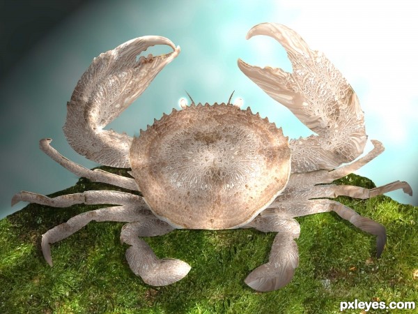 Creation of Crab affected by fungus!!: Step 10