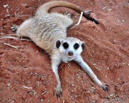 great sandbath