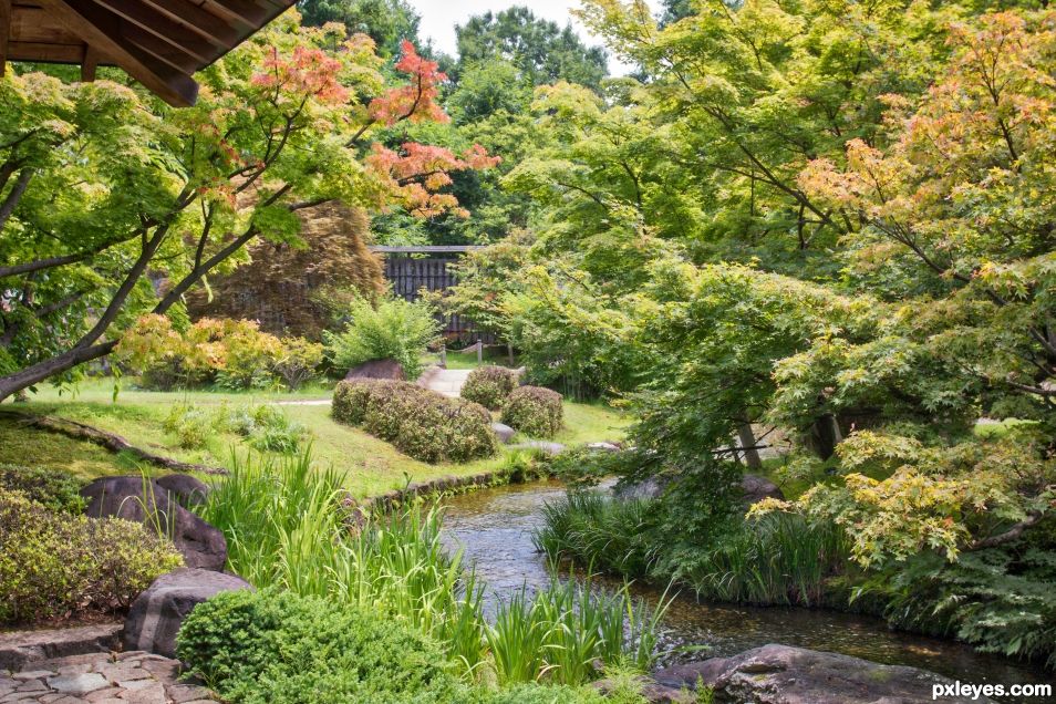 A stream runs through the garden