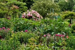 Monets Garden Giverny