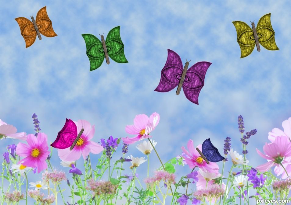 Butterflies