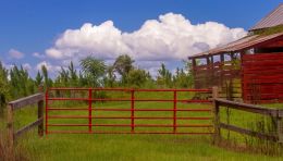 Red gate