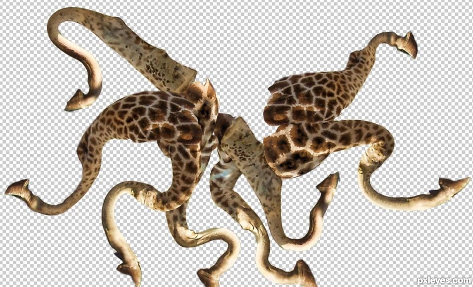 Creation of The Octoaffe: Step 3