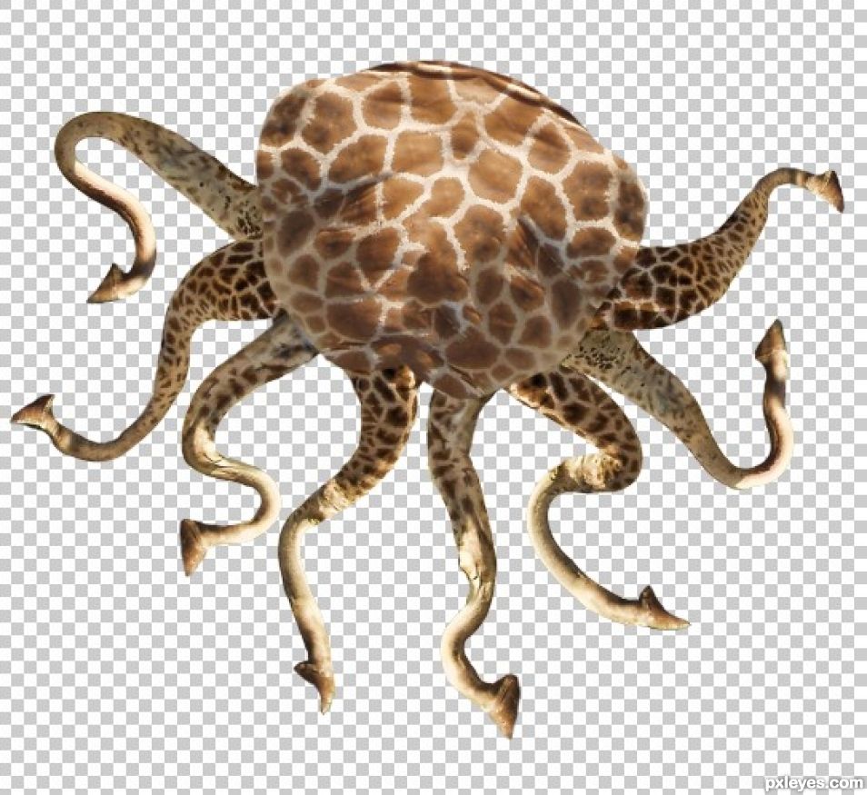 Creation of The Octoaffe: Step 5