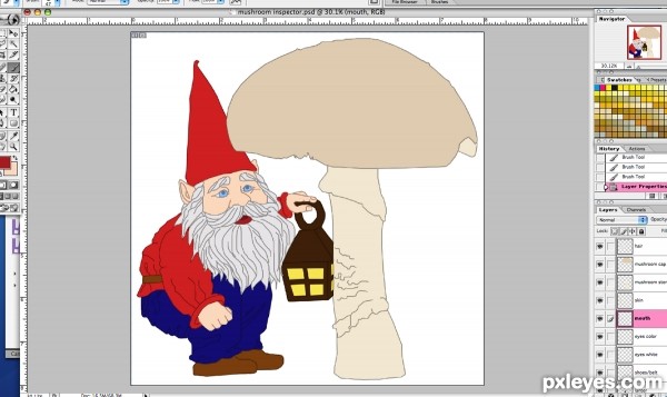 Creation of The Mushroom Inspector: Step 2