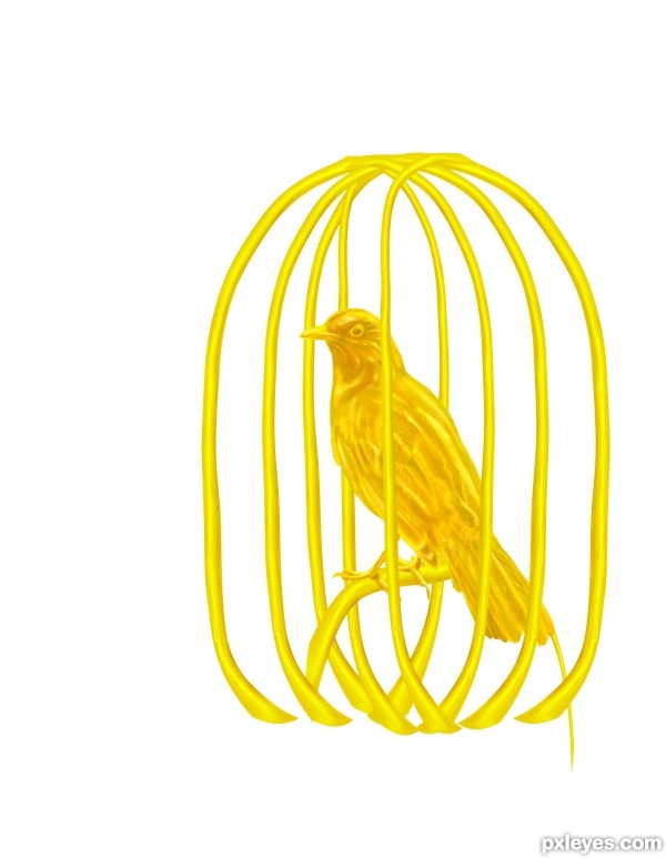 Creation of Golden bird in the cage: Step 6