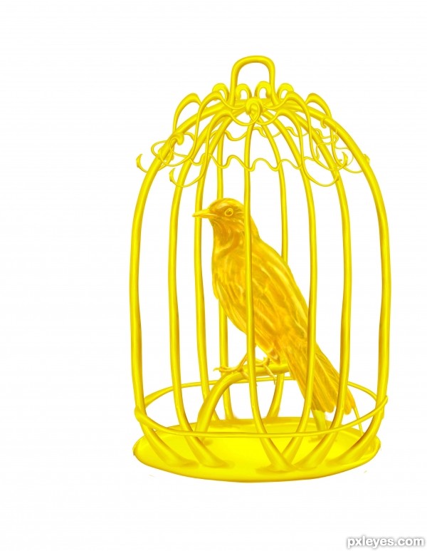 Creation of Golden bird in the cage: Step 8