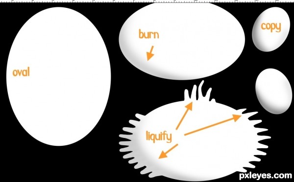 Creation of The Golden Bird Spoiler: Step 2