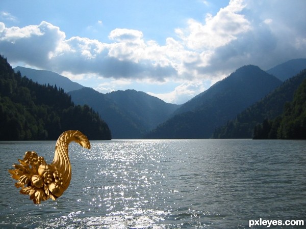 Creation of golden swan: Step 2