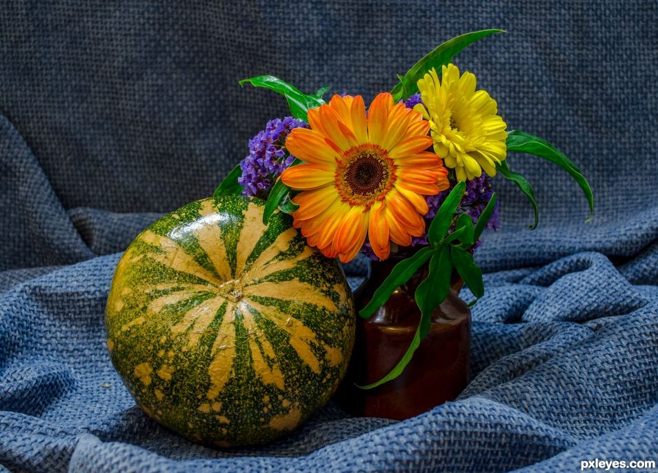 Pumpkin and flowers