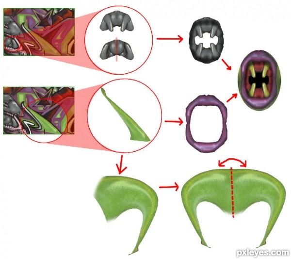 Creation of She`s a Man-eater: Step 1