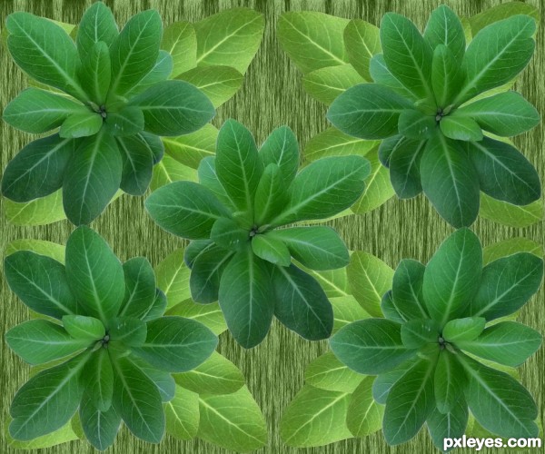 Creation of leaves puzzle: Step 4