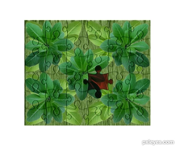 Creation of leaves puzzle: Step 5