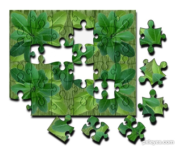 Creation of leaves puzzle: Step 6