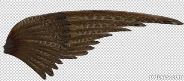 Creation of WINGED BEAST: Step 4