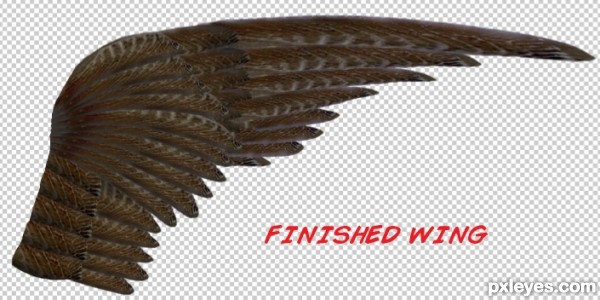 Creation of WINGED BEAST: Step 5