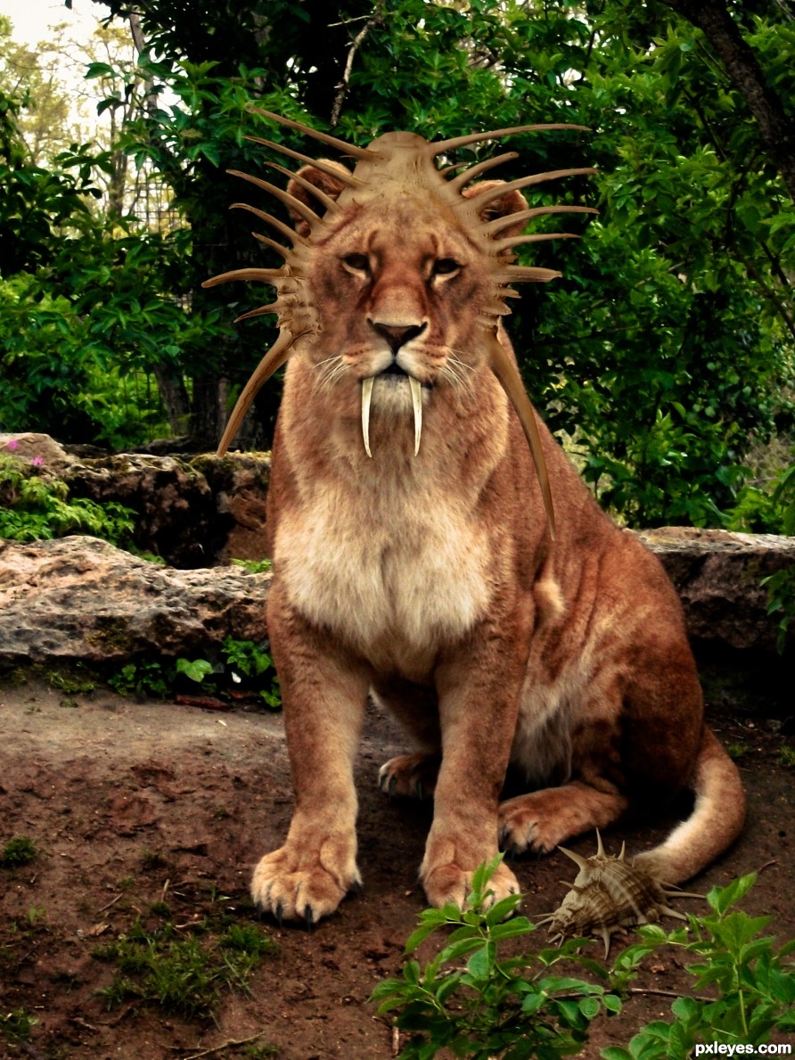 Saber Head Lion