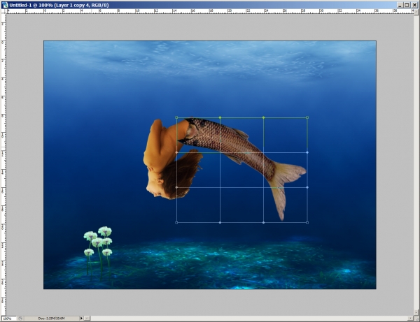 Creation of underwater flower: Step 5