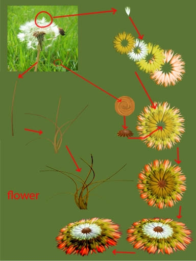 Creation of The Flower Mountain: Step 1