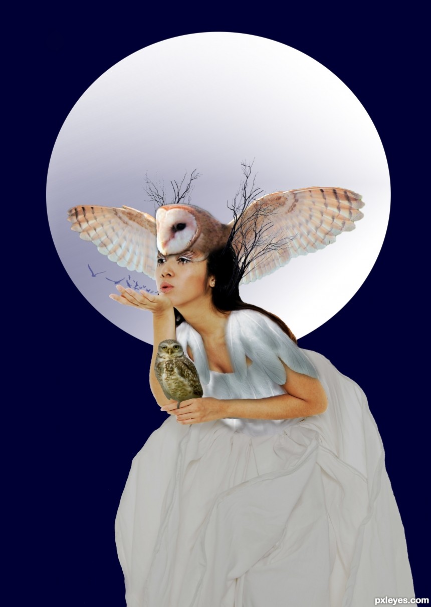 Owl Goddess photoshop picture)