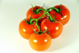 Tomato