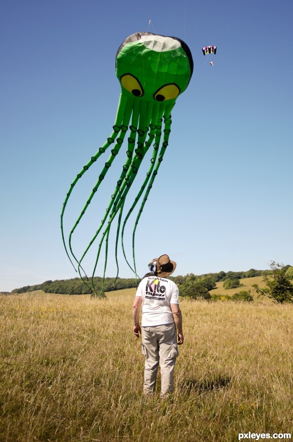 The kite flyer