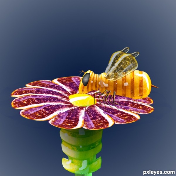 Creation of Honey Bee: Step 10