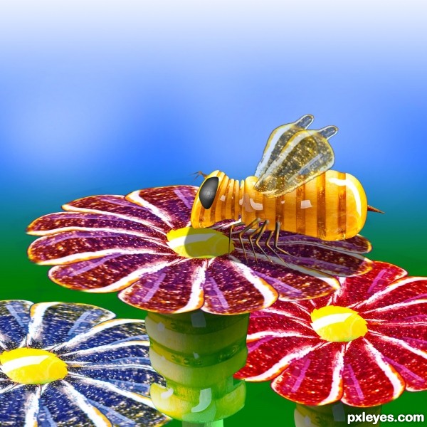 Creation of Honey Bee: Step 11