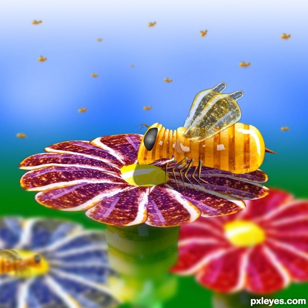 Creation of Honey Bee: Step 13