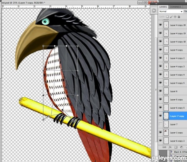 Creation of Tropical Bird: Step 8