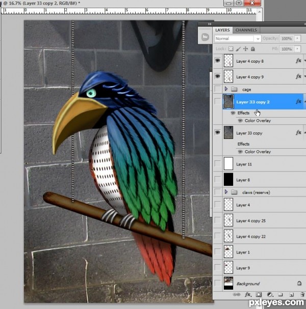 Creation of Tropical Bird: Step 12