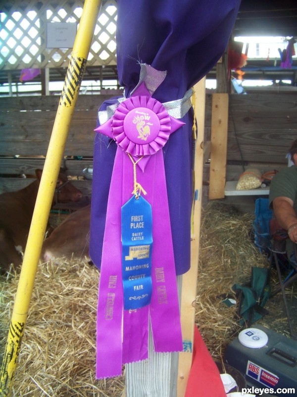 Creation of Cowbarn at the County Fair: Step 6