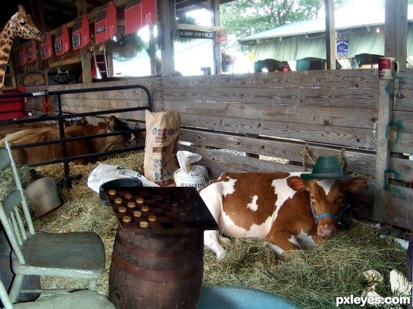 Creation of Cowbarn at the County Fair: Step 23