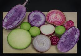 Onion and radishes Picture