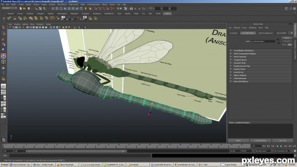 Creation of dragonfly: Step 3