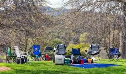 Waiting for a picnic