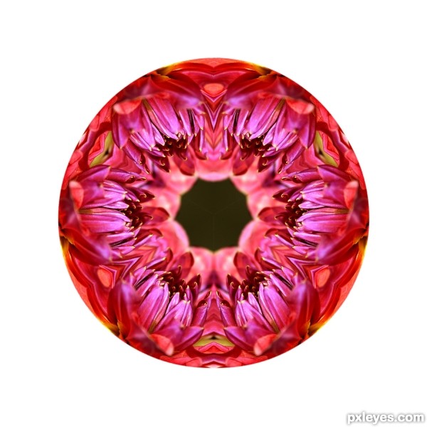 Creation of Flower Kaleidoscope: Step 8