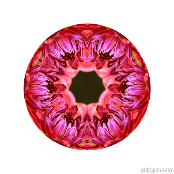 Creation of Flower Kaleidoscope: Step 9