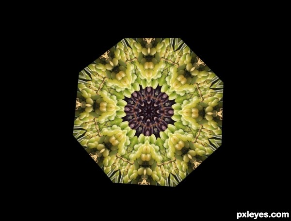 Creation of Kaleidoscopic Grapes: Step 3