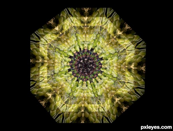 Creation of Kaleidoscopic Grapes: Step 4