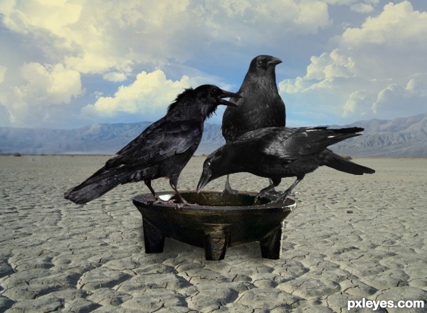 Creation of thirsty crows : Step 2