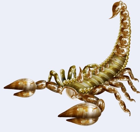 Creation of Scorpion: Step 5