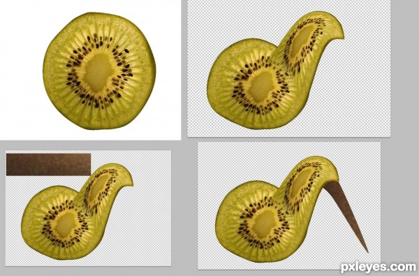 Creation of Would the real KIWI please sta: Step 1