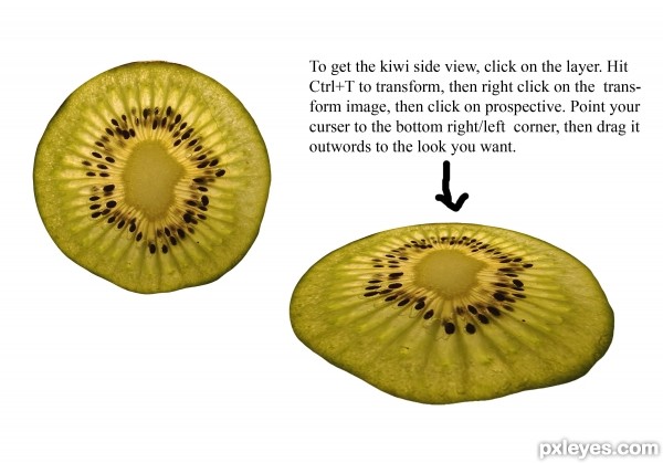 Creation of Advanced Kiwi's, 1961: Step 3