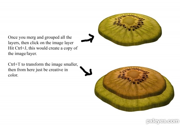 Creation of Advanced Kiwi's, 1961: Step 5